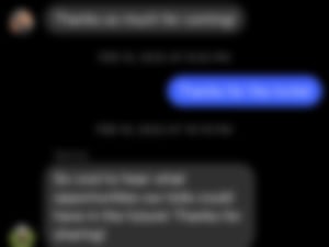 Flemming IMFIS PD Text2